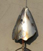 Fisch